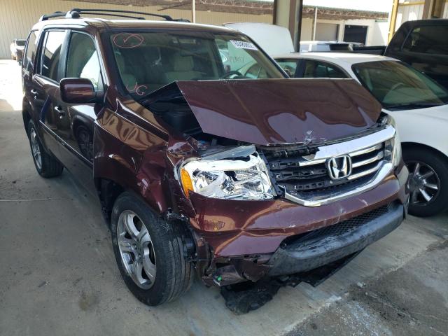 HONDA PILOT EX 2013 with VIN 5FNYF3H42DB032949 - Photo from auction