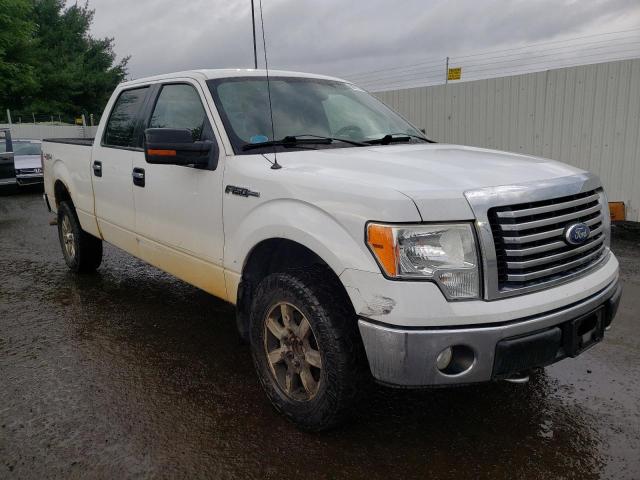 FORD F150 SUPER 2010 with VIN 1FTFW1EV6AFB73541 - Photo from auction