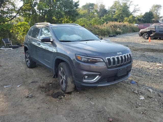 JEEP CHEROKEE L 2019 with VIN 1C4PJMDN3KD244732 - Photo from auction
