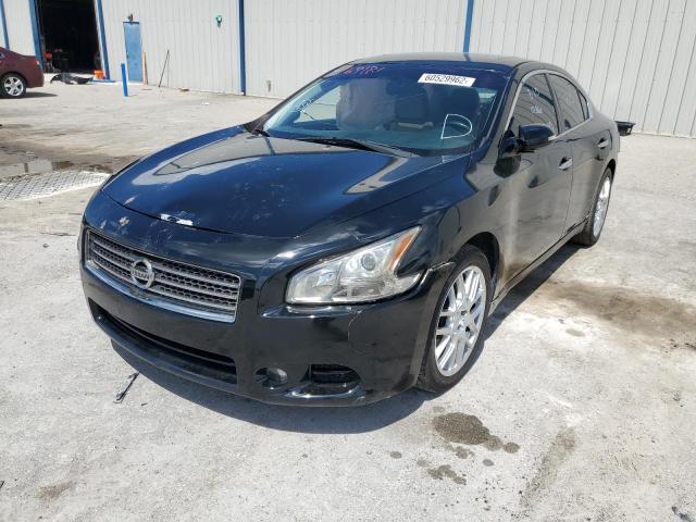 Photo 2 from auction – 2009 NISSAN MAXIMA S with VIN 1N4AA51E99C859680