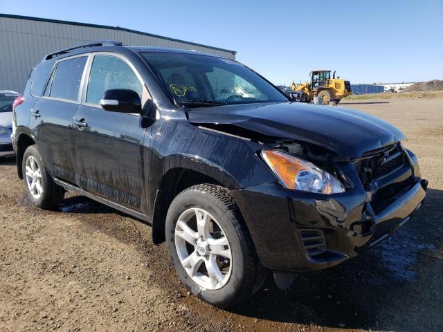 TOYOTA RAV4 2012 with VIN 2T3BF4DV3CW215134 - Photo from auction