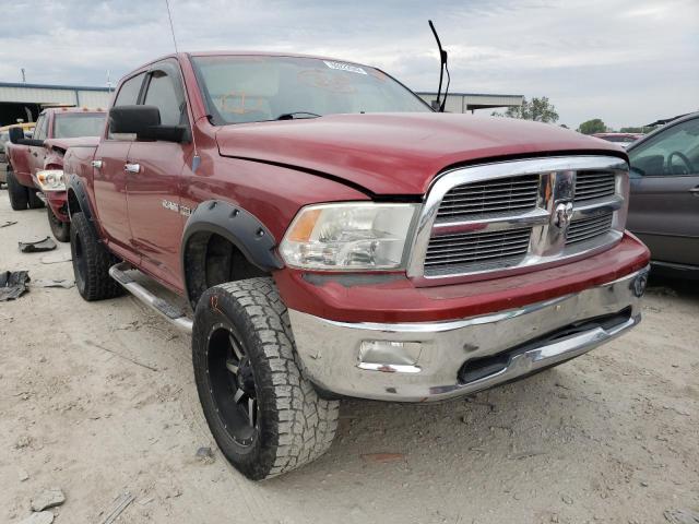 DODGE RAM 1500 2009 with VIN 1D3HV13T49S755354 - Photo from auction