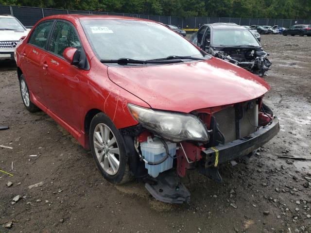 TOYOTA COROLLA BA 2010 with VIN 2T1BU4EE3AC445848 - Photo from auction