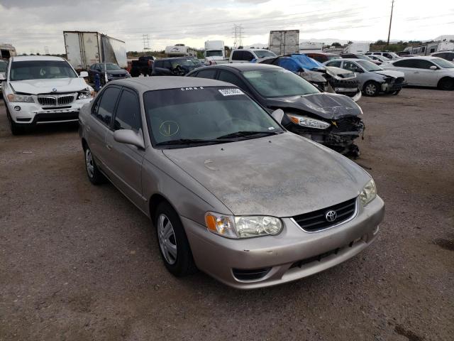 TOYOTA COROLLA CE 2001 with VIN 1NXBR12E01Z557994 - Photo from auction