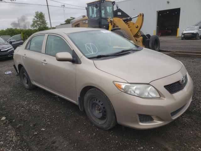 TOYOTA COROLLA BA 2010 with VIN 2T1BU4EE2AC475116 - Photo from auction