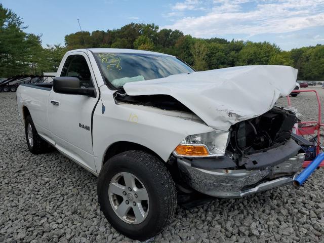 DODGE RAM 1500 2010 with VIN 3D7JB1EP0AG103058 - Photo from auction