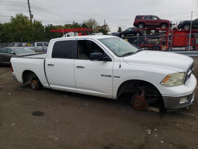 Photo 9 from auction – 2010 DODGE RAM 1500 with VIN 1D7RB1CT1AS139143