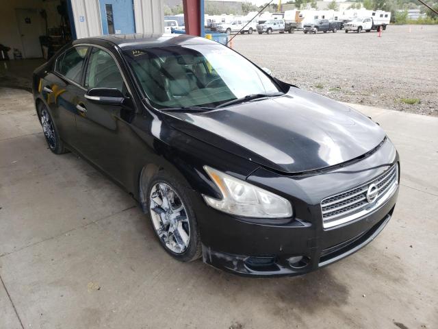 NISSAN MAXIMA S 2010 with VIN 1N4AA5AP8AC867260 - Photo from auction