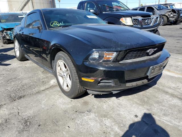 Photo 1 from auction – 2011 FORD MUSTANG with VIN 1ZVBP8AM2B5165622