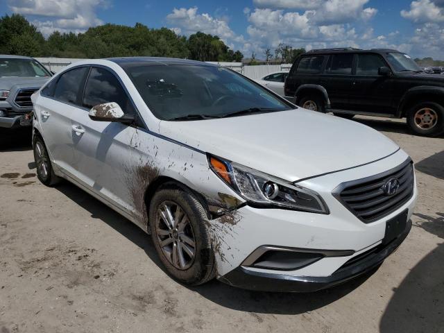 HYUNDAI SONATA SE 2016 with VIN 5NPE24AF7GH401956 - Photo from auction