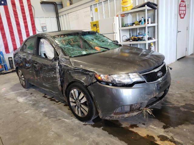 KIA FORTE EX 2013 with VIN KNAFU4A29D5681996 - Photo from auction