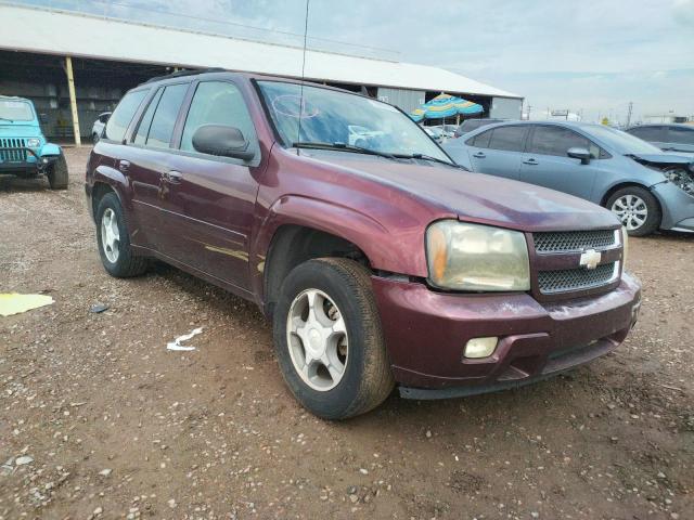 CHEVROLET TRAILBLAZE 2006 with VIN 1GNDS13S462105059 - Photo from auction