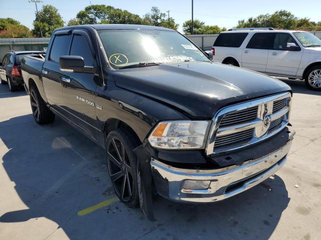 DODGE RAM 1500 2011 with VIN 1D7RB1CT2BS599381 - Photo from auction