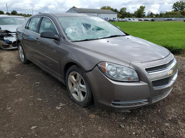 CHEVROLET MALIBU LS 2011 with VIN 1G1ZB5E13BF213579 - Photo from auction