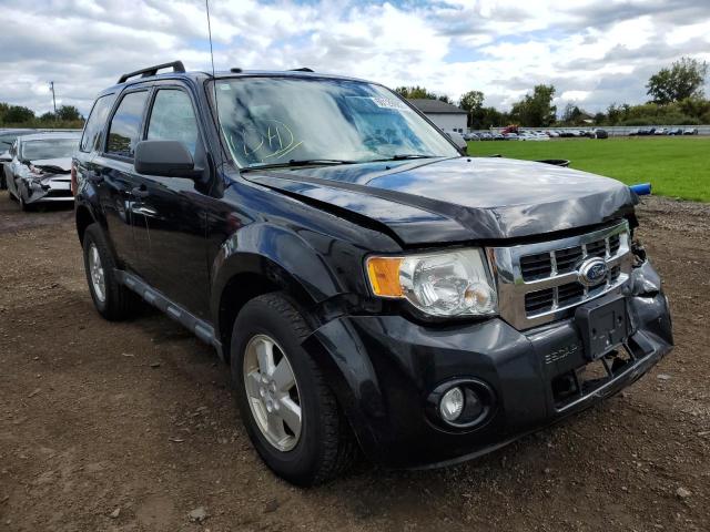 Photo 1 from auction – 2011 FORD ESCAPE XLT with VIN 1FMCU0DG0BKB80110