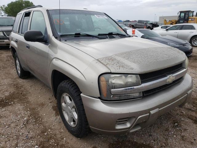CHEVROLET TRAILBLAZE 2003 with VIN 1GNDT13S932130256 - Photo from auction