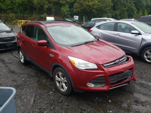 Photo 1 from auction – 2014 FORD ESCAPE SE with VIN 1FMCU9GX3EUA49584