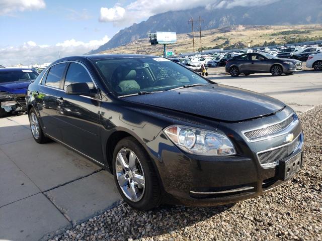 CHEVROLET MALIBU 2LT 2011 with VIN 1G1ZD5E1XBF157117 - Photo from auction