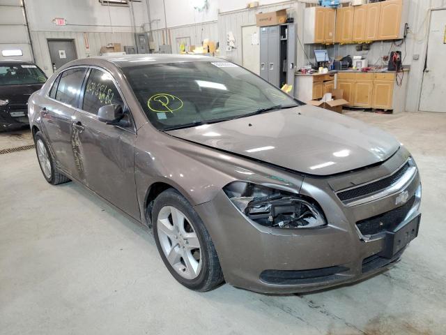 CHEVROLET MALIBU LS 2010 with VIN 1G1ZA5E06AF286759 - Photo from auction