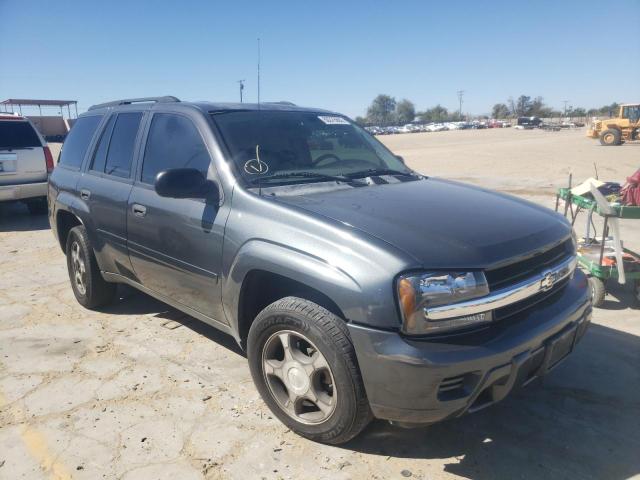 CHEVROLET TRAILBLAZE 2007 with VIN 1GNDS13S172106431 - Photo from auction