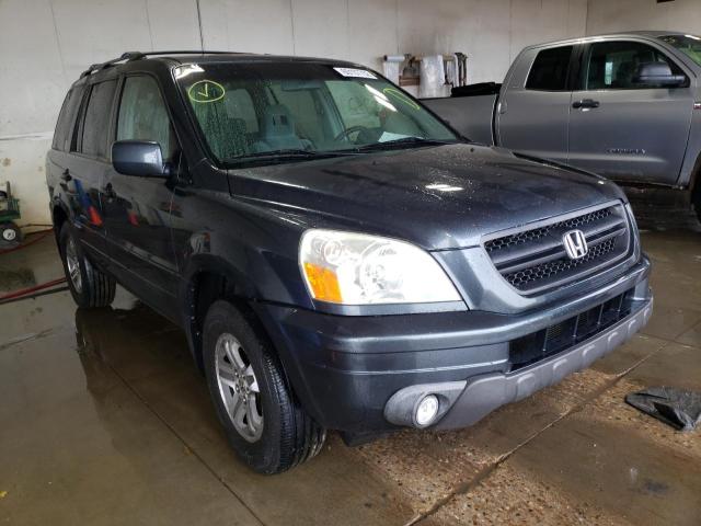 HONDA PILOT EX 2005 with VIN 5FNYF18475B048165 - Photo from auction