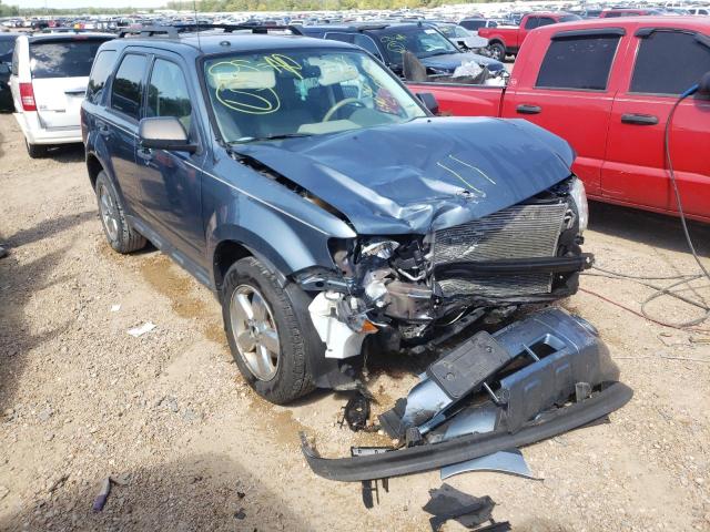 FORD ESCAPE XLT 2011 with VIN 1FMCU0DG3BKB24291 - Photo from auction