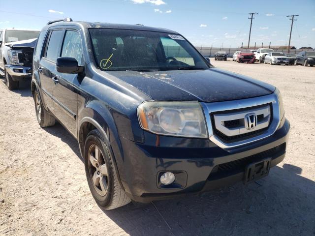 HONDA PILOT EXL 2009 z numerem VIN 5FNYF38599B018952 - Zdjęcie z aukcji
