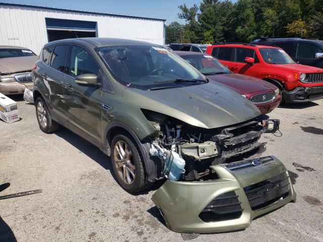 FORD ESCAPE SEL 2013 with VIN 1FMCU0HX5DUA81221 - Photo from auction