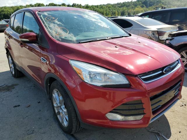 FORD ESCAPE SEL 2013 with VIN 1FMCU0H90DUD35872 - Photo from auction