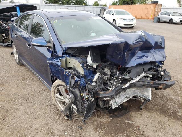 HYUNDAI SONATA SPO 2018 with VIN 5NPE34AF2JH697909 - Photo from auction