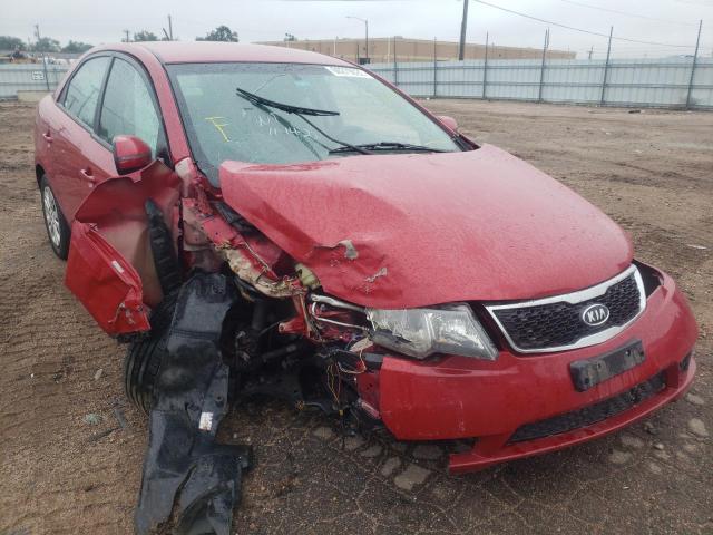 KIA FORTE EX 2013 with VIN KNAFU4A21D5645820 - Photo from auction