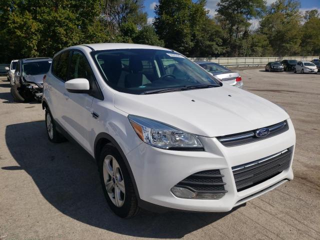 FORD ESCAPE SE 2016 with VIN 1FMCU0GX7GUB96330 - Photo from auction