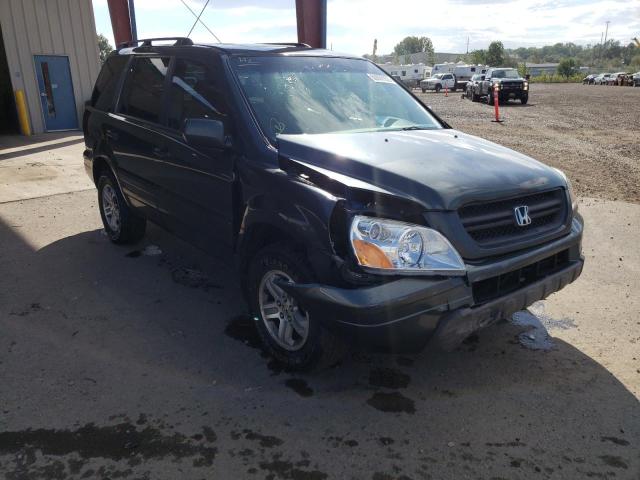 HONDA PILOT EXL 2005 with VIN 2HKYF18675H546806 - Photo from auction