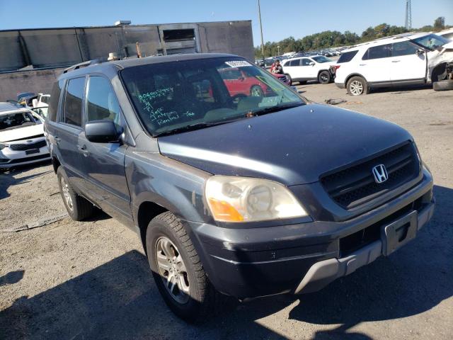 HONDA PILOT EX 2005 with VIN 5FNYF18475B003954 - Photo from auction