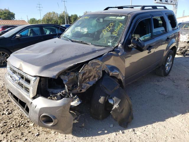 Photo 2 from auction – 2010 FORD ESCAPE XLT with VIN 1FMCU0D7XAKD38595