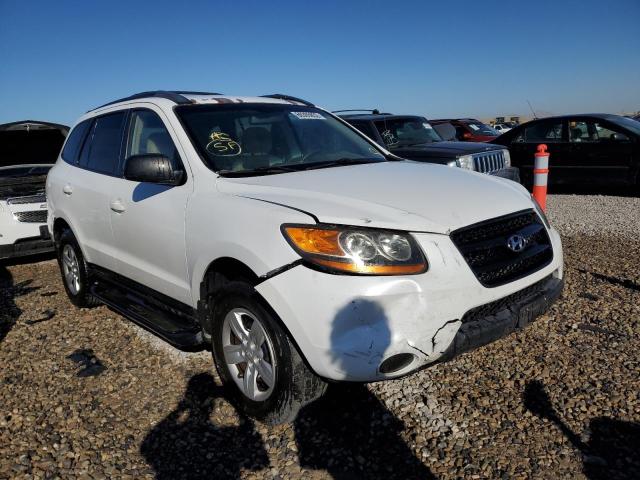 HYUNDAI SANTA FE G 2009 with VIN 5NMSG73D99H295141 - Photo from auction