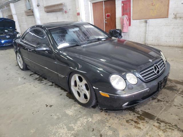MERCEDES-BENZ CL 600 2002 with VIN WDBPJ78J32A024239 - Photo from auction