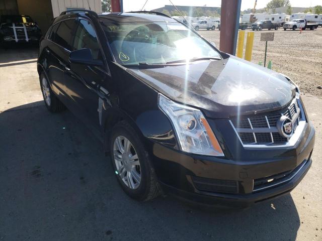 CADILLAC SRX 2011 with VIN 3GYFNHEYXBS608316 - Photo from auction