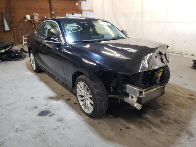 BMW 228 I 2015 with VIN WBA1F5C53FV257587 - Photo from auction