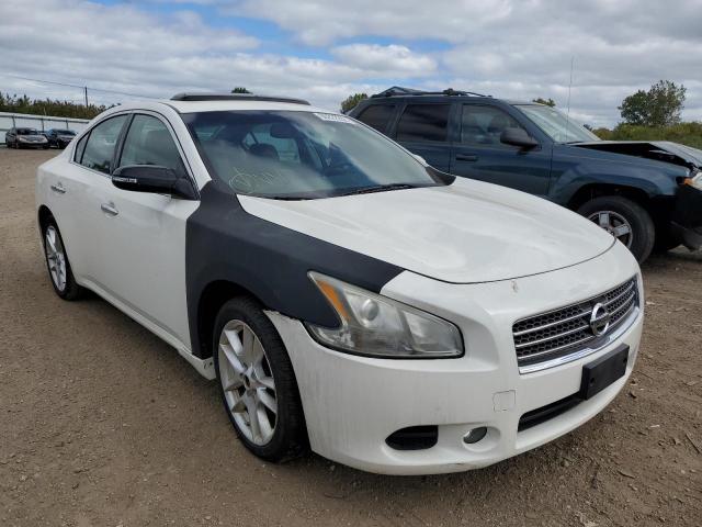 NISSAN MAXIMA S 2011 with VIN 1N4AA5APXBC865981 - Photo from auction