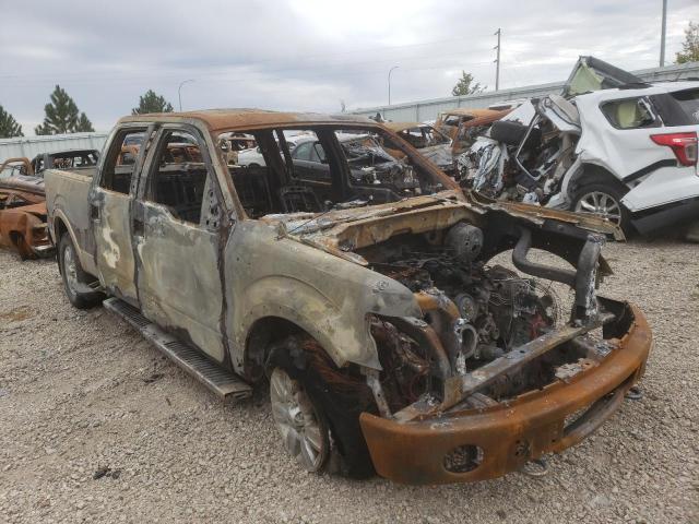 FORD F150 SUPER 2011 с VIN 1FTFW1EF0BFA73803 - Фото с аукциона
