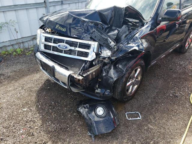 Photo 9 from auction – 2010 FORD ESCAPE LIM with VIN 1FMCU9EG0AKB49201