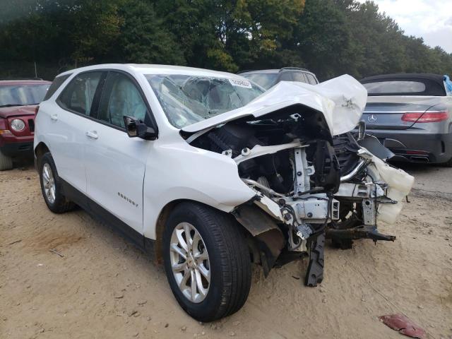Photo 1 from auction – 2019 CHEVROLET EQUINOX LS with VIN 2GNAXHEV4K6183178