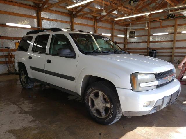 CHEVROLET TRAILBLAZE 2005 with VIN 1GNET16S956157968 - Photo from auction
