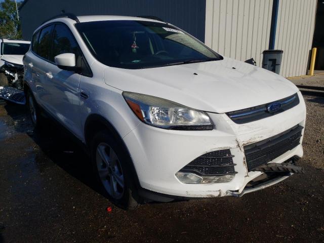 FORD ESCAPE SE 2014 with VIN 1FMCU9G96EUC31524 - Photo from auction