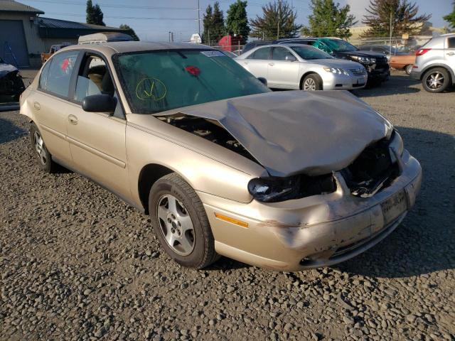 CHEVROLET CLASSIC 2004 with VIN 1G1ND52FX4M702892 - Photo from auction