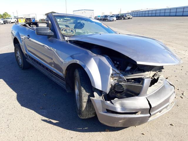 FORD MUSTANG 2007 with VIN 1ZVFT84N175333663 - Photo from auction