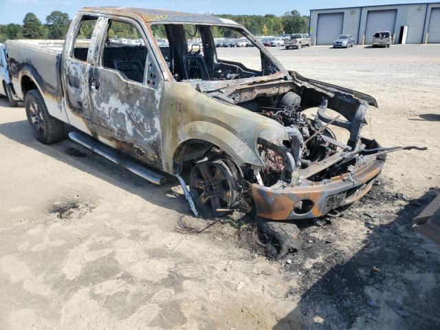 FORD F150 SUPER 2013 with VIN 1FTFX1EF9DFB41872 - Photo from auction