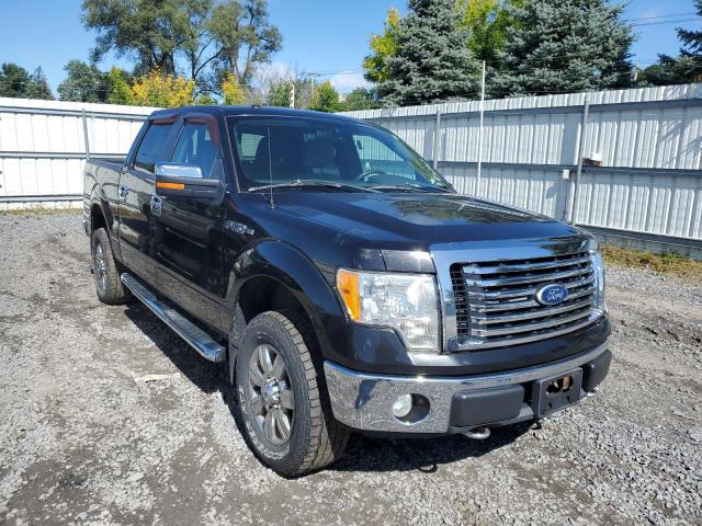 FORD F150 SUPER 2010 with VIN 1FTFW1EV8AFD70288 - Photo from auction