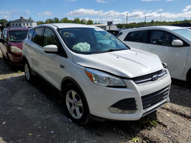 FORD ESCAPE SE 2014 with VIN 1FMCU9GX6EUA53869 - Photo from auction